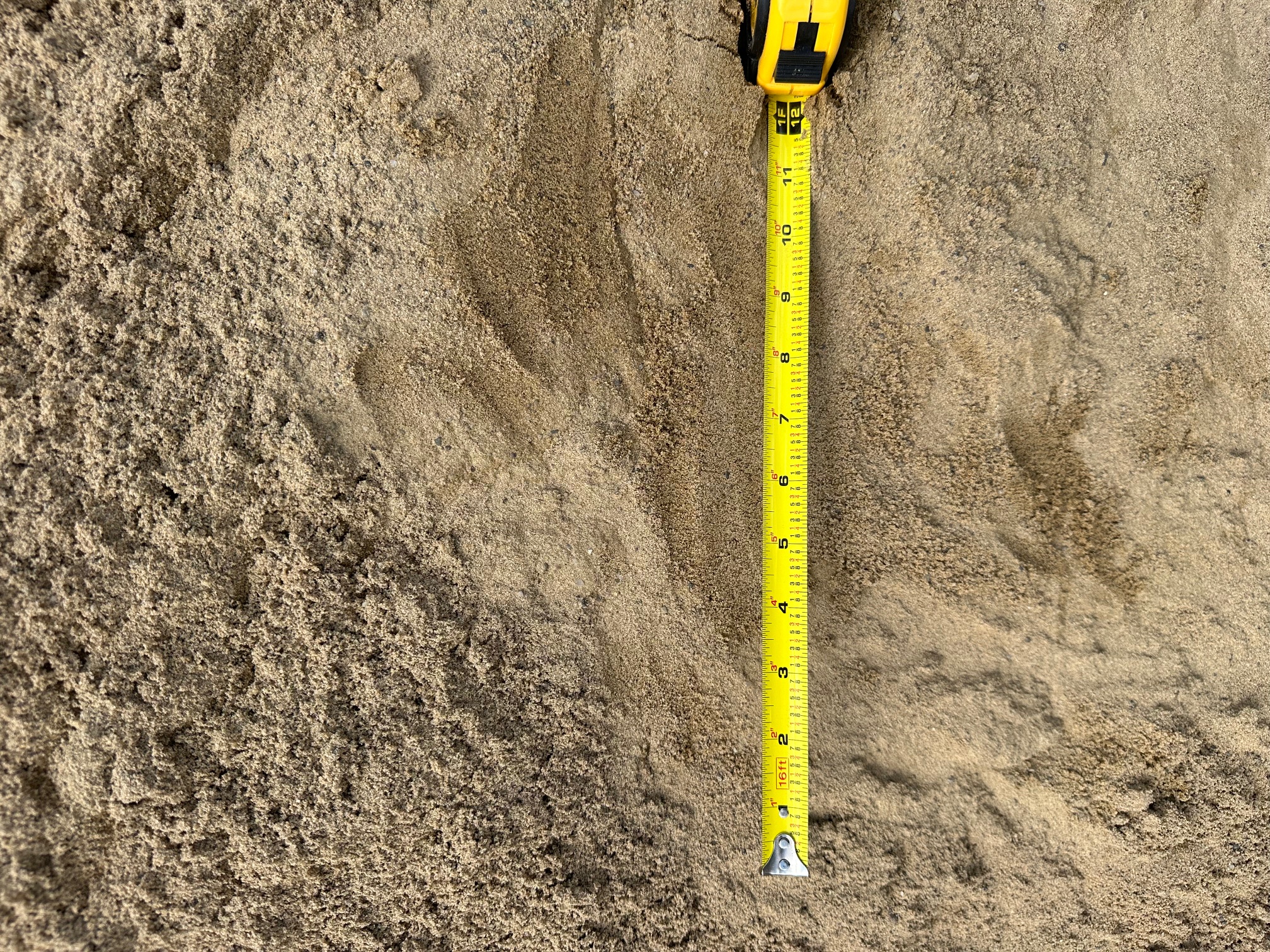 https://shop2.three-z.com/storage/photos/1/Products/Sand/Mason Sand/MASON SAND 2.jpg